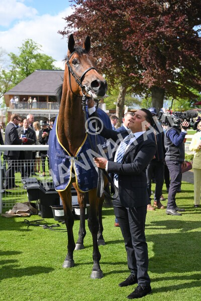 yr11052022r4-53 - Race 4 3.35pm Tattersalls Musidora Stakes
