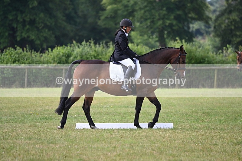 WJ6_5349 - Time 09:00 to 09:42