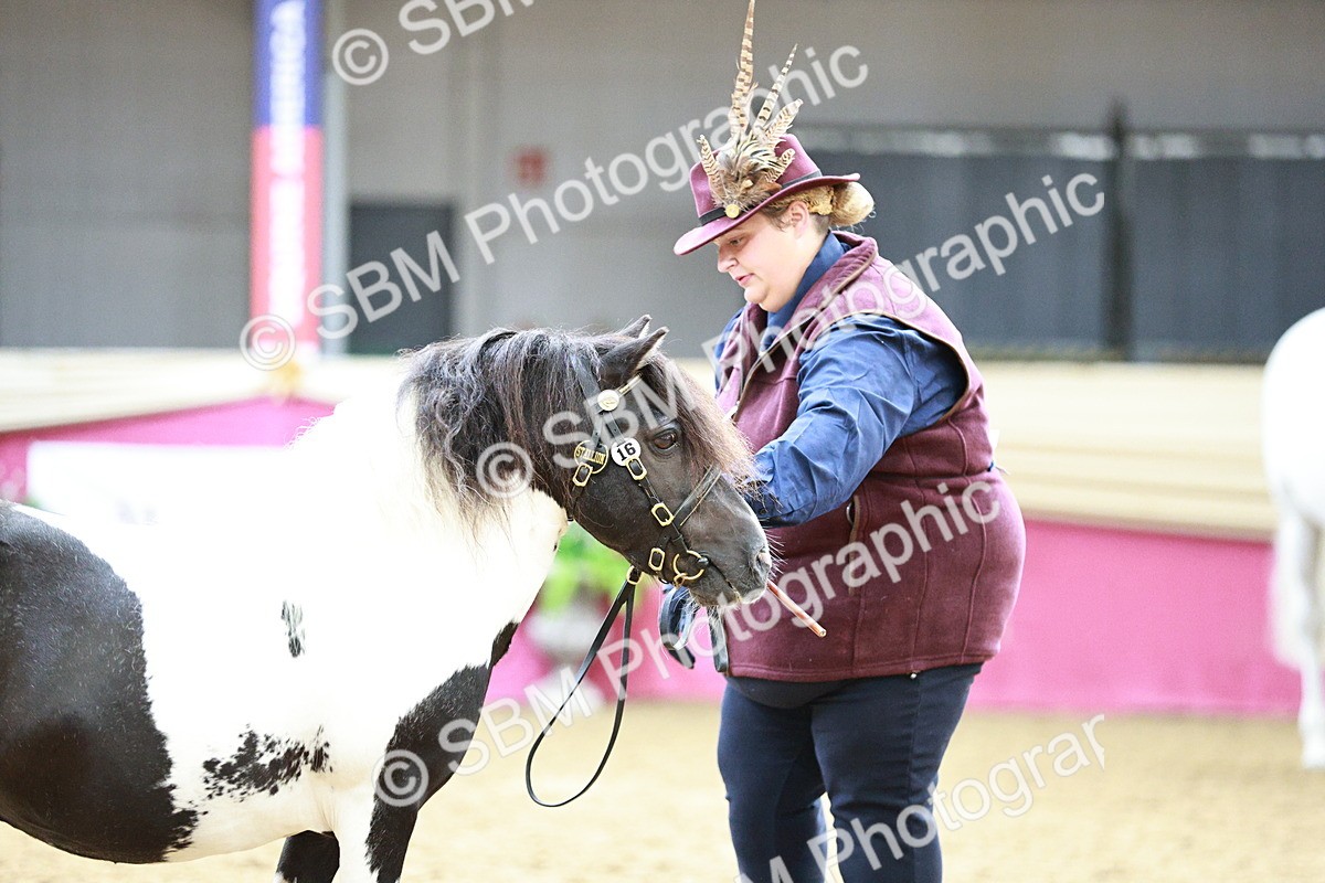 SBM_01273 - Class 3A - Area IH Pre-Vet