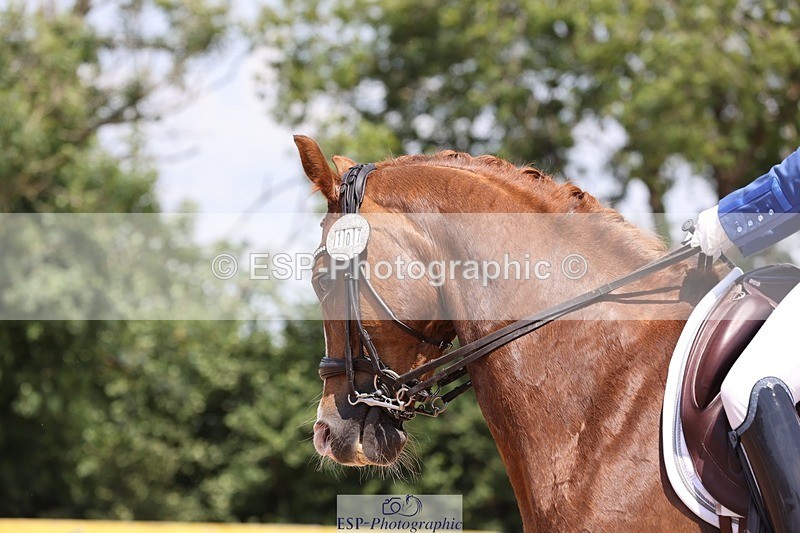 250620-130050-01144 - BD Cls 15 - Freestyle Adv Medium