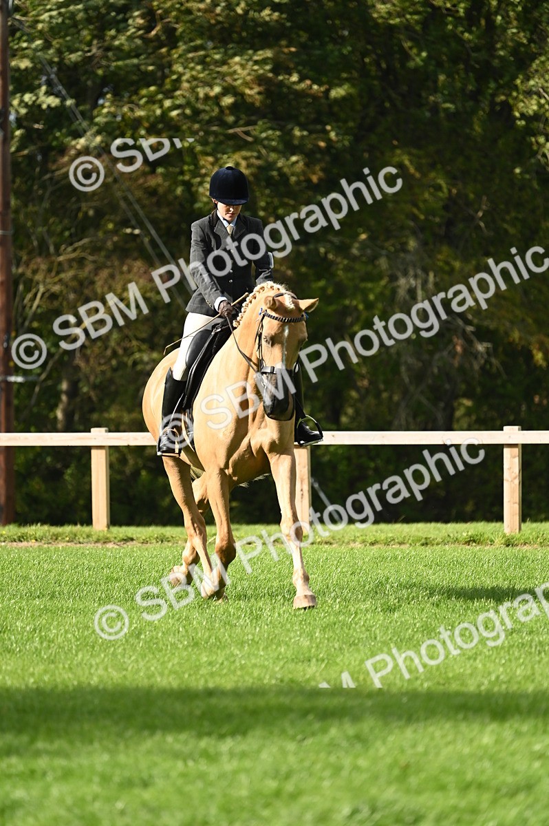 SBM_26406 - S6 - Novice & newcomer Ridden horse