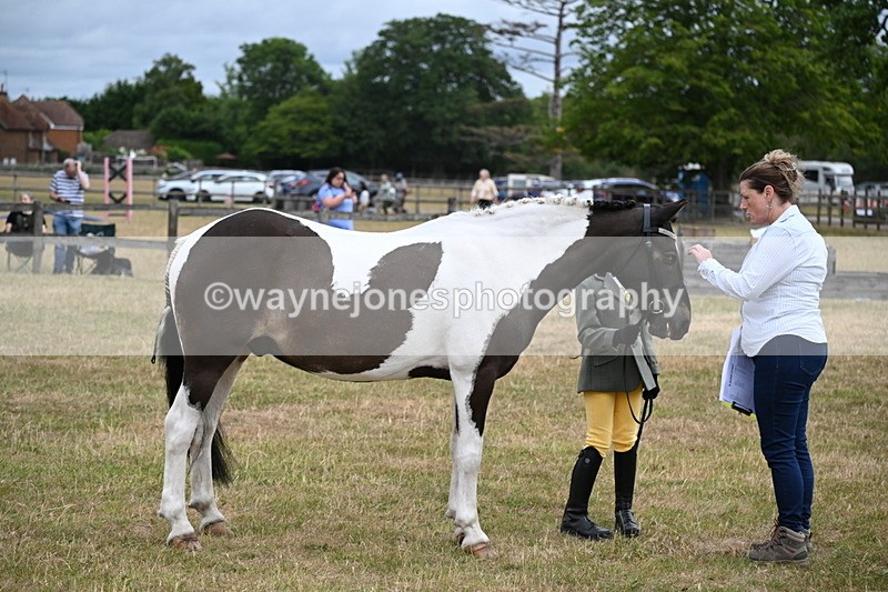 WJ6_4311 - Class 10 Coloured In-hand