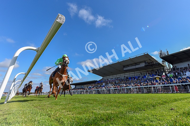 180924-Race 3-Beaujolais Nouveau-7314 - Race 3