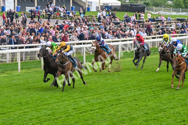 150524-Race 6-Shadow Army-4562 - Race 6 4.45pm British Stallion Studs EBF Novice Stakes