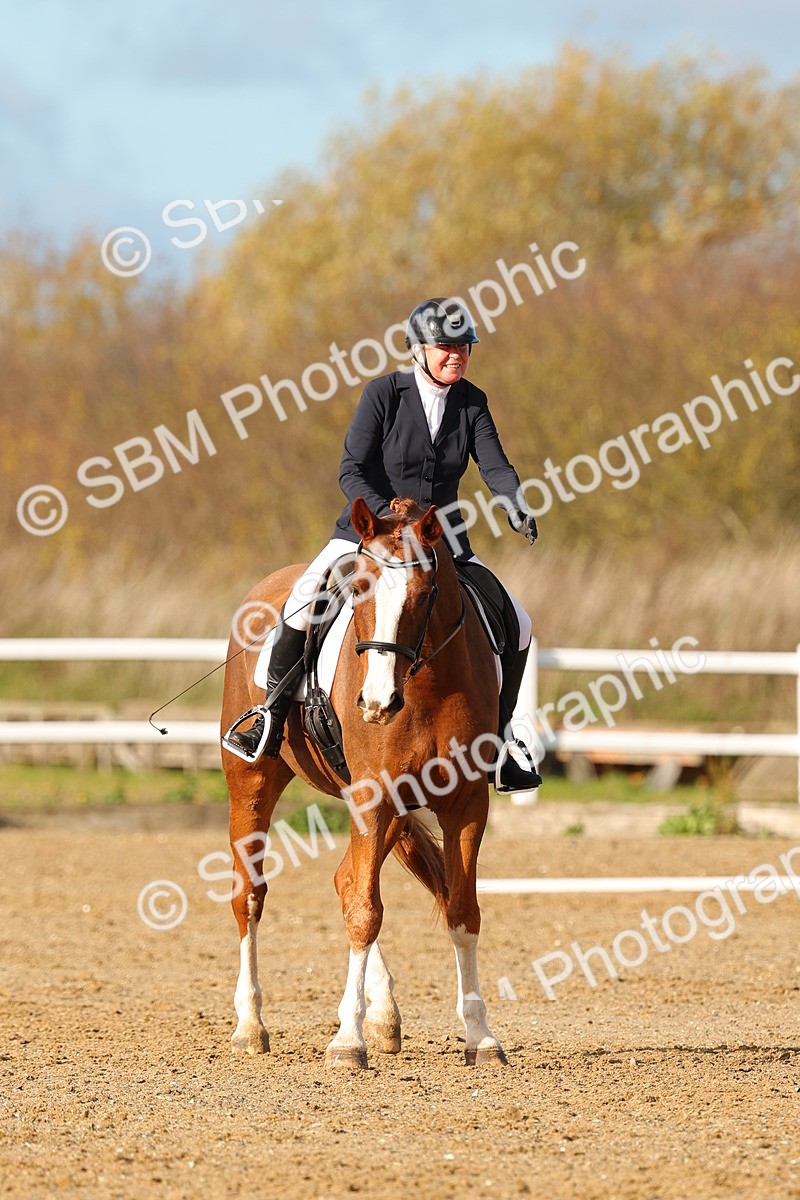 SBM_000782 - Novice 4