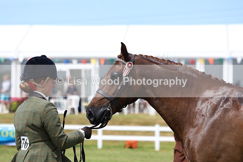 3E7A1095 - Class 8: Open Riding Horse/Hack