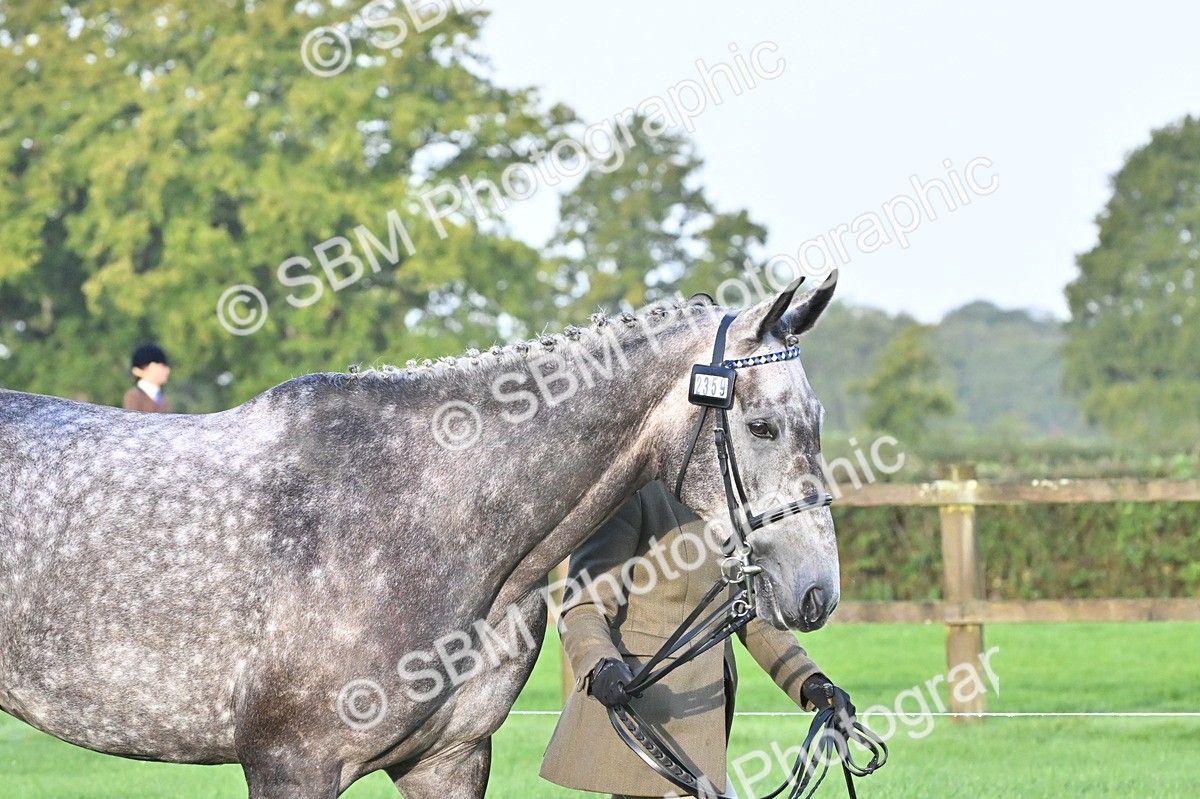 SBM_32555 - S15 - Top Turnout In Hand