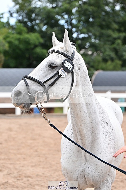 250716-140603-00911 - Trot Up 1.30 to 2.30