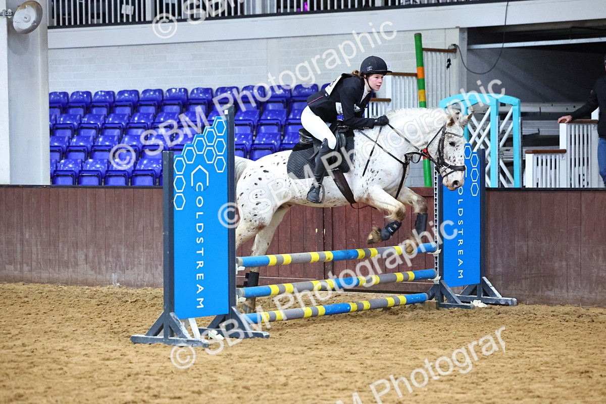 SBM_001324 - Class 3 - Christmas Tree Stakes - 60cm