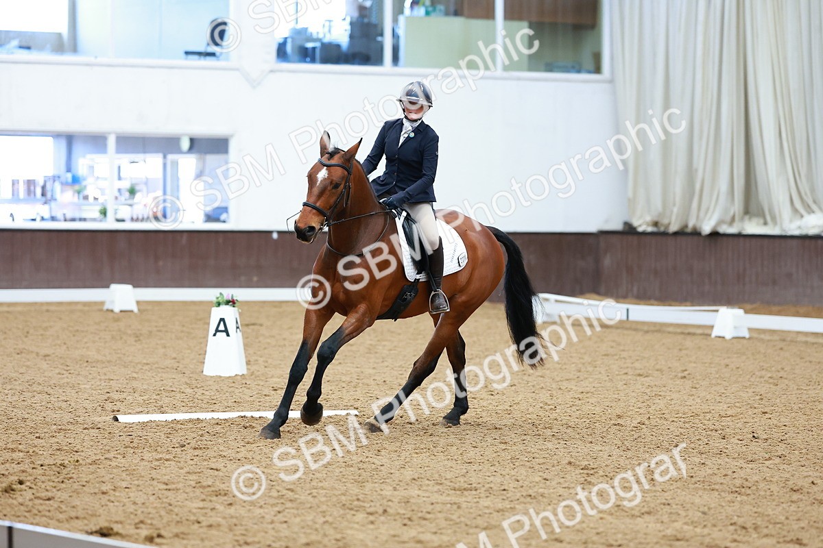 SBM_003283 - Class 11 - Novice 2