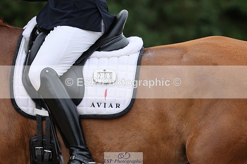 240810-155114-04110 - 208-Tom.Carter-Rubin.Regal