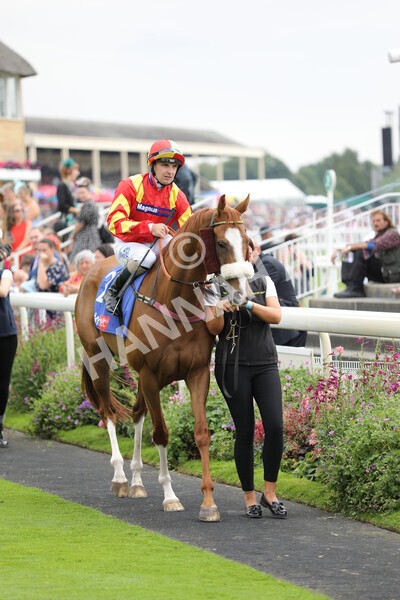 yr23072022r2-4 - Race 2 2.40pm Sky Bet Dash
