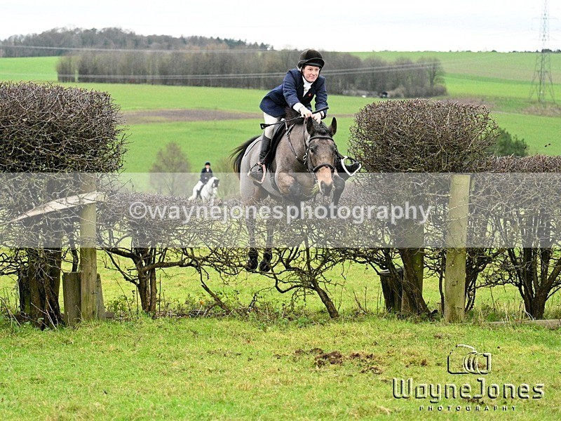 WJ7_8067 - Edited Examples