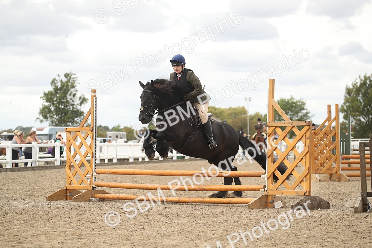 SBM_16635 - Class 507a - Working Veteran - 60cm (15-19)