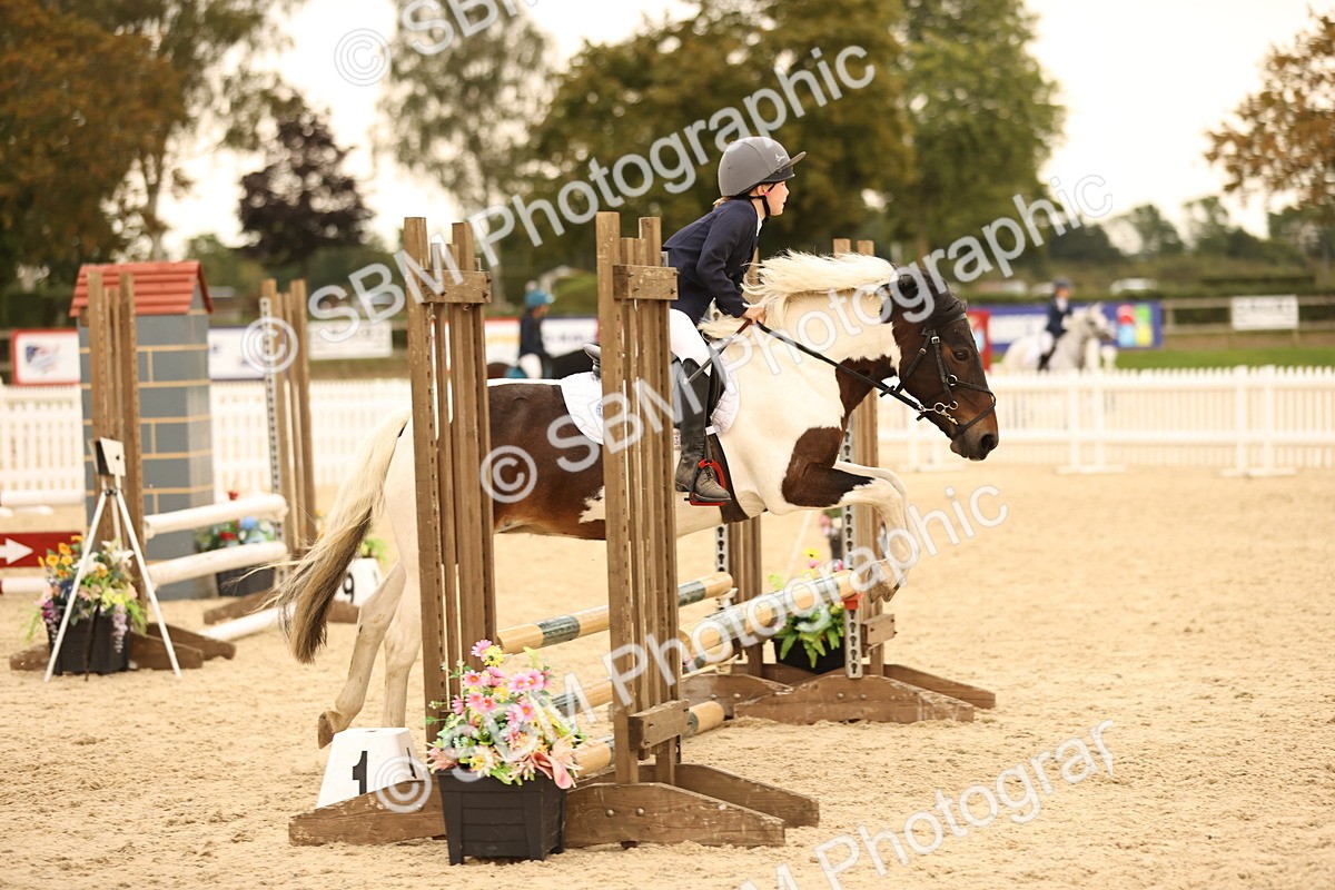 SBM_74249 - J14 - Junior Pony 65cm Championship