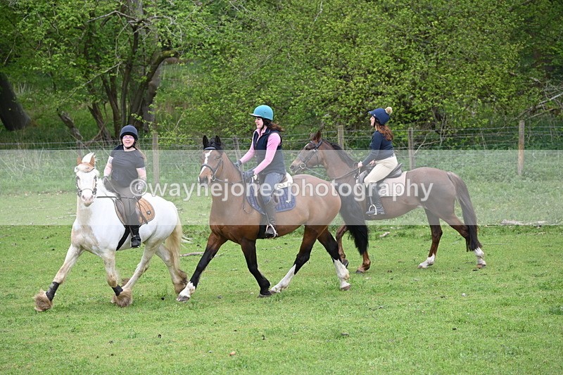 WJ6_3148 - A camera