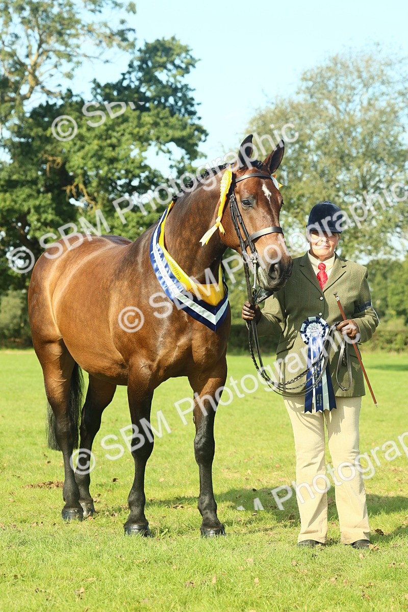 SBM_61166 - Starter Supreme Championship