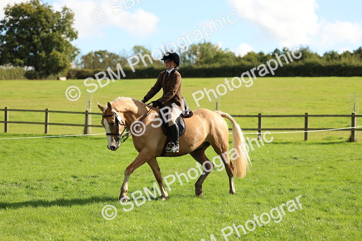 SBM_50078 - S34 - Novice & Newcomers Working Hunter