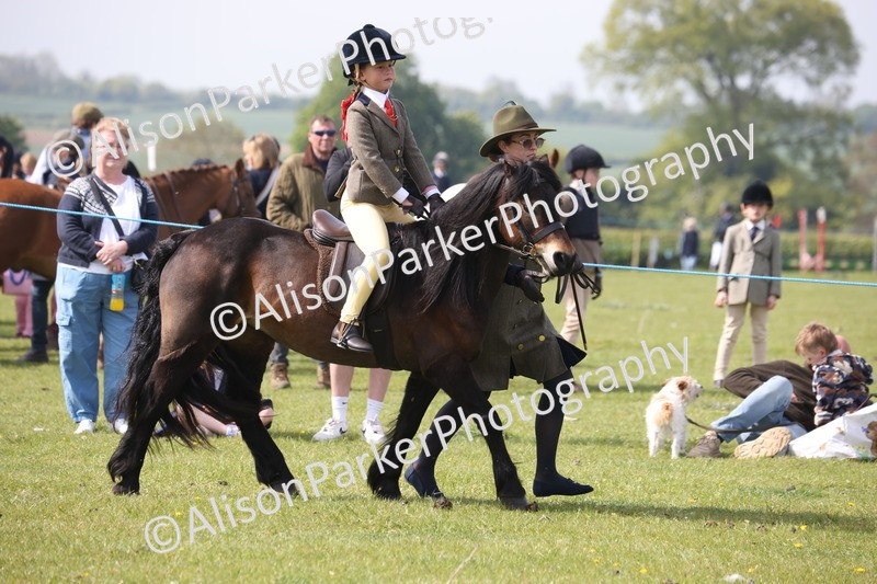 20260426-2468 - Class 31 - Leading Rein