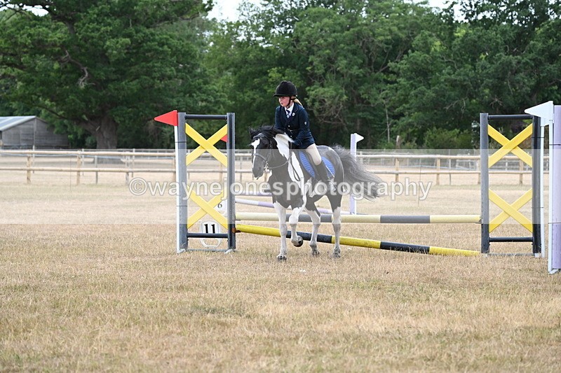 WJ6_9968 - Class 13 Novice Jumping 60cm
