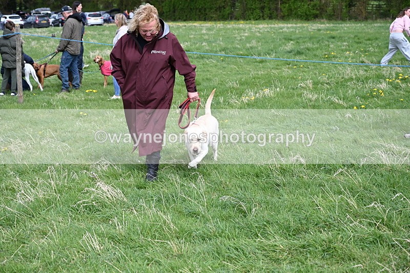 WJ6_8350 - Class 4 Prettiest Bitch