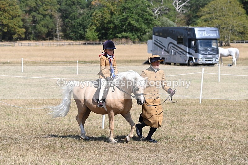 WJ6_9146 - Championship Classes 33-38
