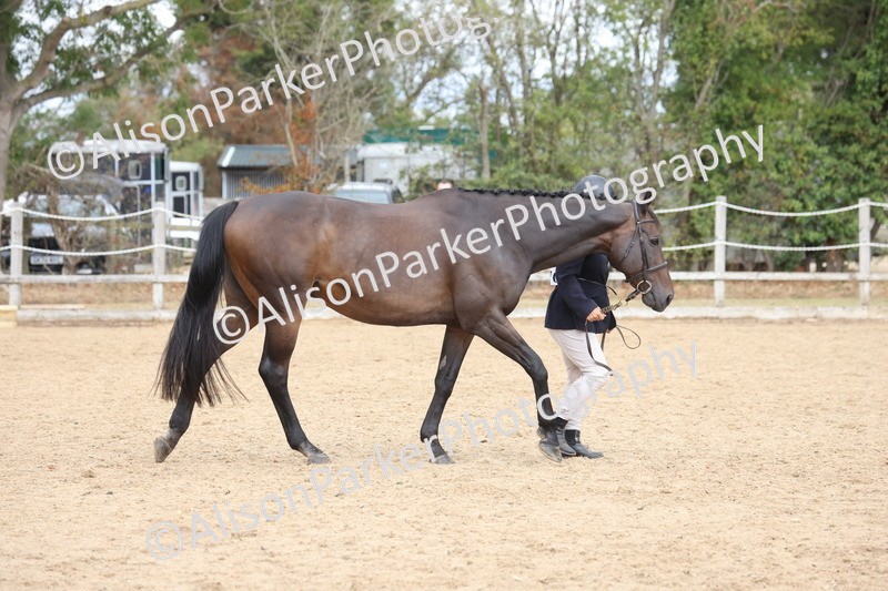 20260831-1888 - Class 5 - Retraining of Racehorses