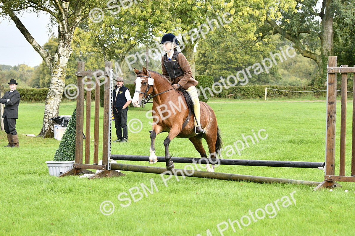 SBM_35437 - S30 - Nursery Stakes Working Hunter Pony