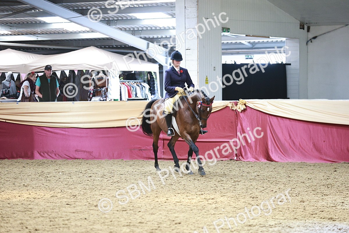 SBM_08272 - Class 11R - Regional Ridden Veteran