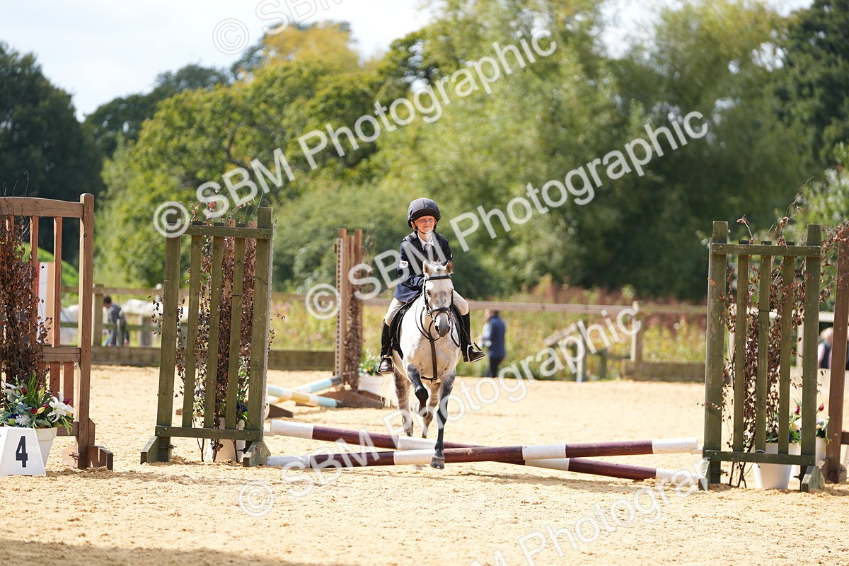 SBM_65658 - J2 - Mini Tour Junior Pony 30cm Championship