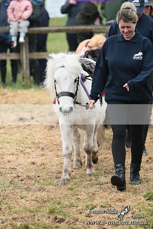 SHETPR 210425 23 - Shetland Ponies Paxford Races 21/04/25