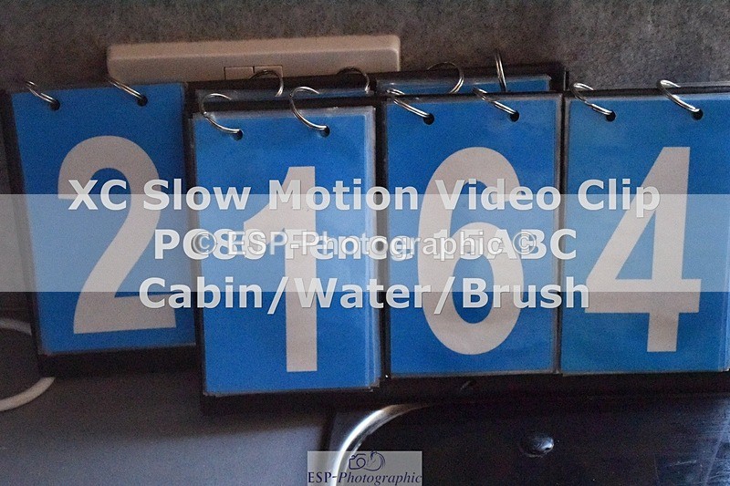 ESP_2164 - 2164-Violet.Guerin-What's.his.name