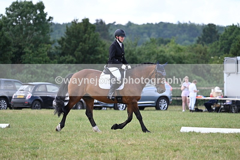 WJ7_5340 - Time 11:22 to 11:51