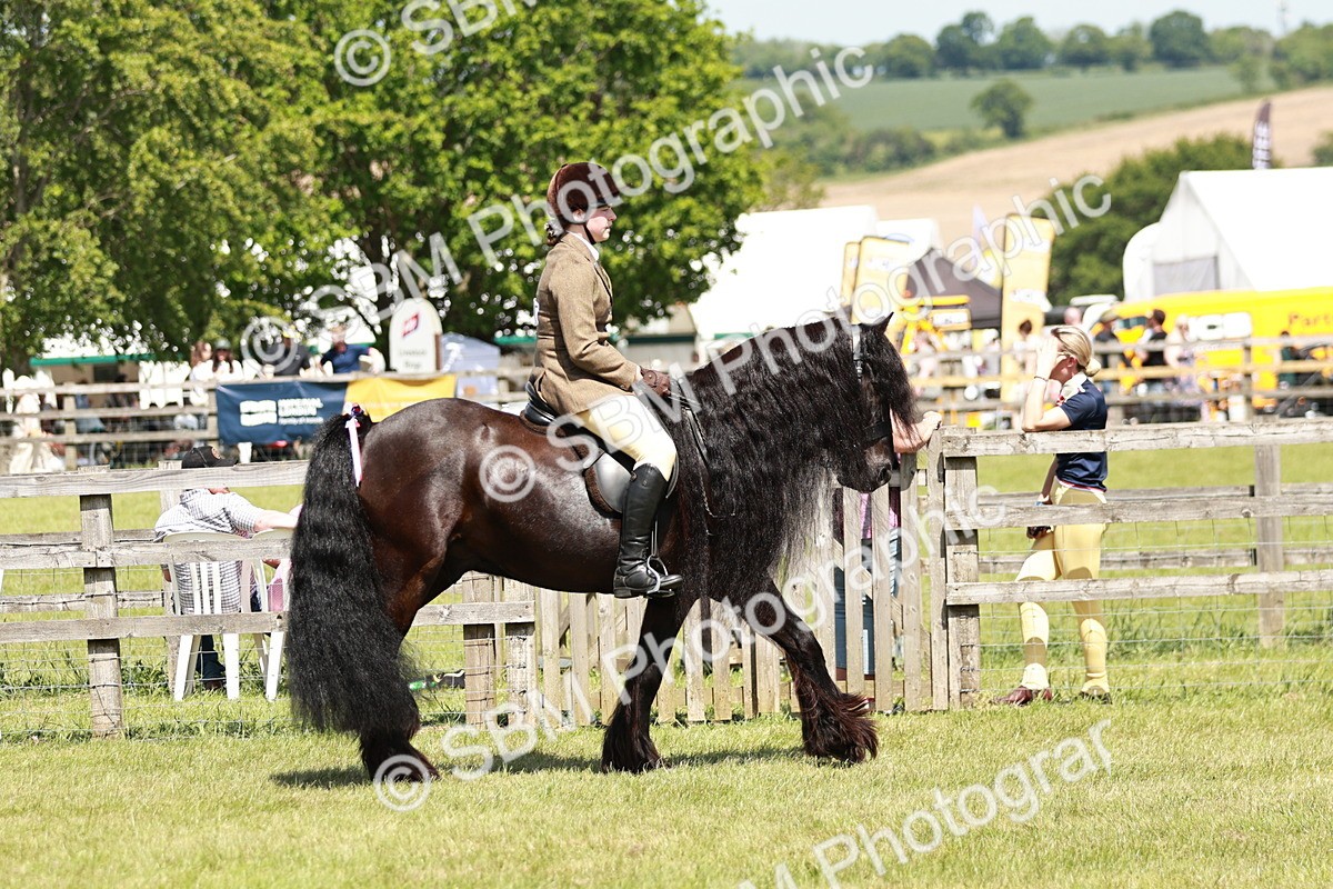 SBM_07026 - Class 26-30 - Mountain and Moorland Ridden