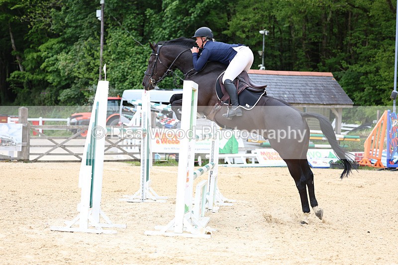3E7A9572 - Class 9: Senior Foxhunter/1.20 open