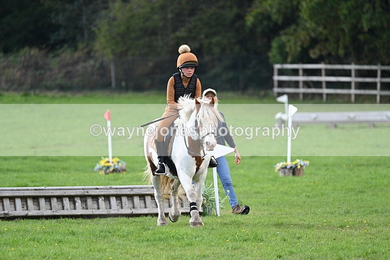 WJ7_4036 - 40cm Time 10:26 to 10:42