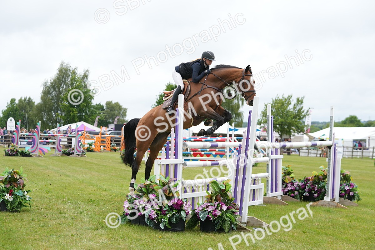 SBM_02994 - Class 201 - British Horse Feeds Speedi Beet Horse of the Year Show Grade  C