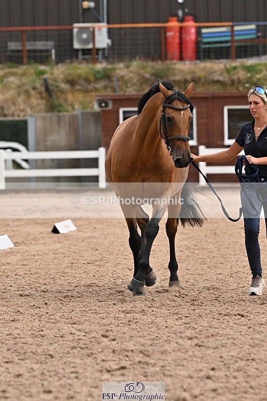 250716-145221-01462 - Trot Up 2.30 to 3.30