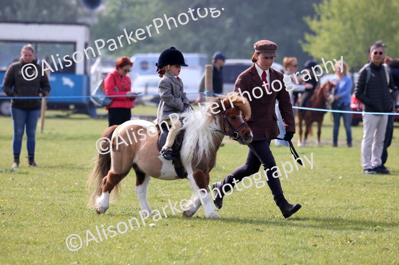 20260426-0317 - Class 30 - Tiny Tots Lead Rein