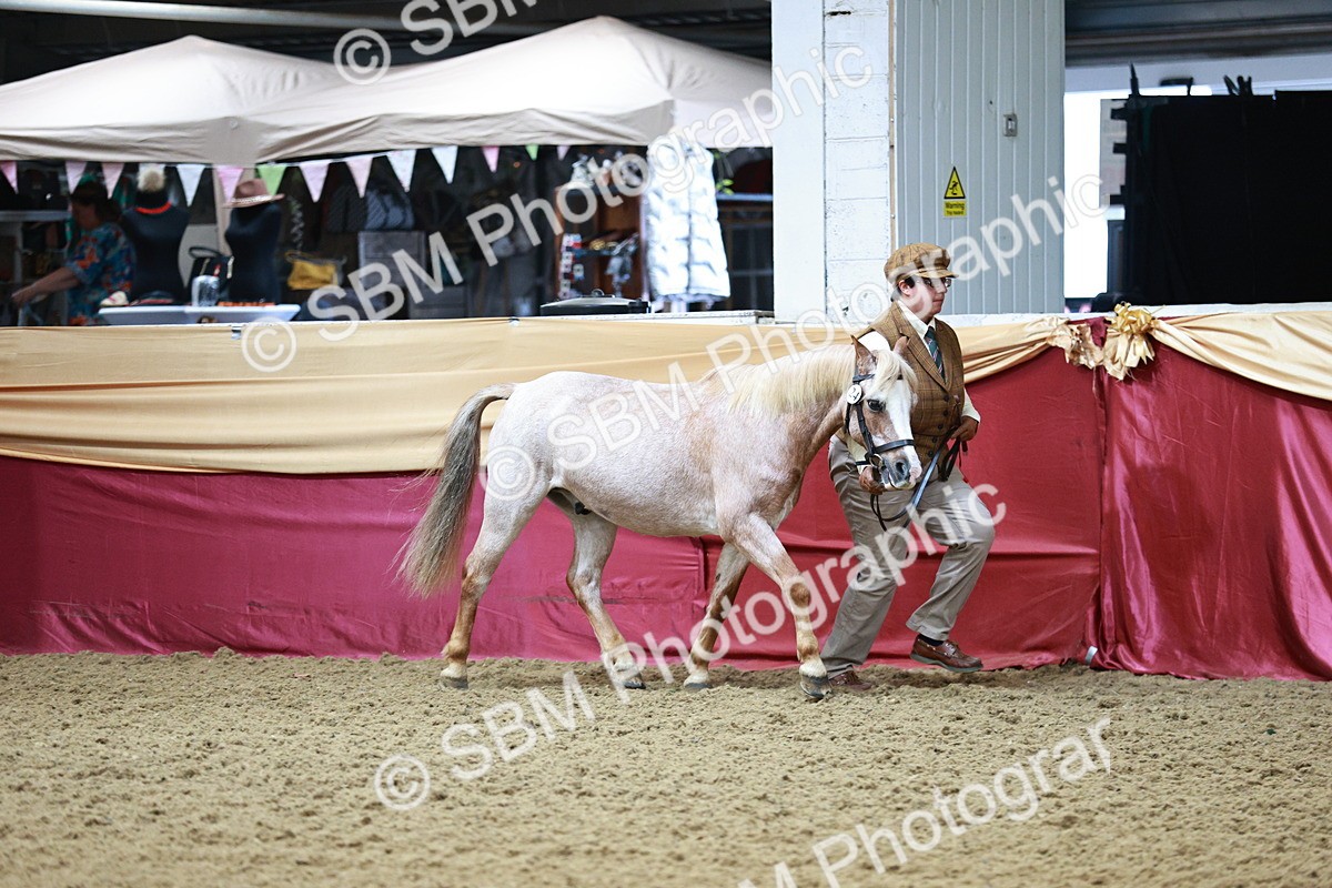 SBM_00884 - Class 2A - Area IH Veteran