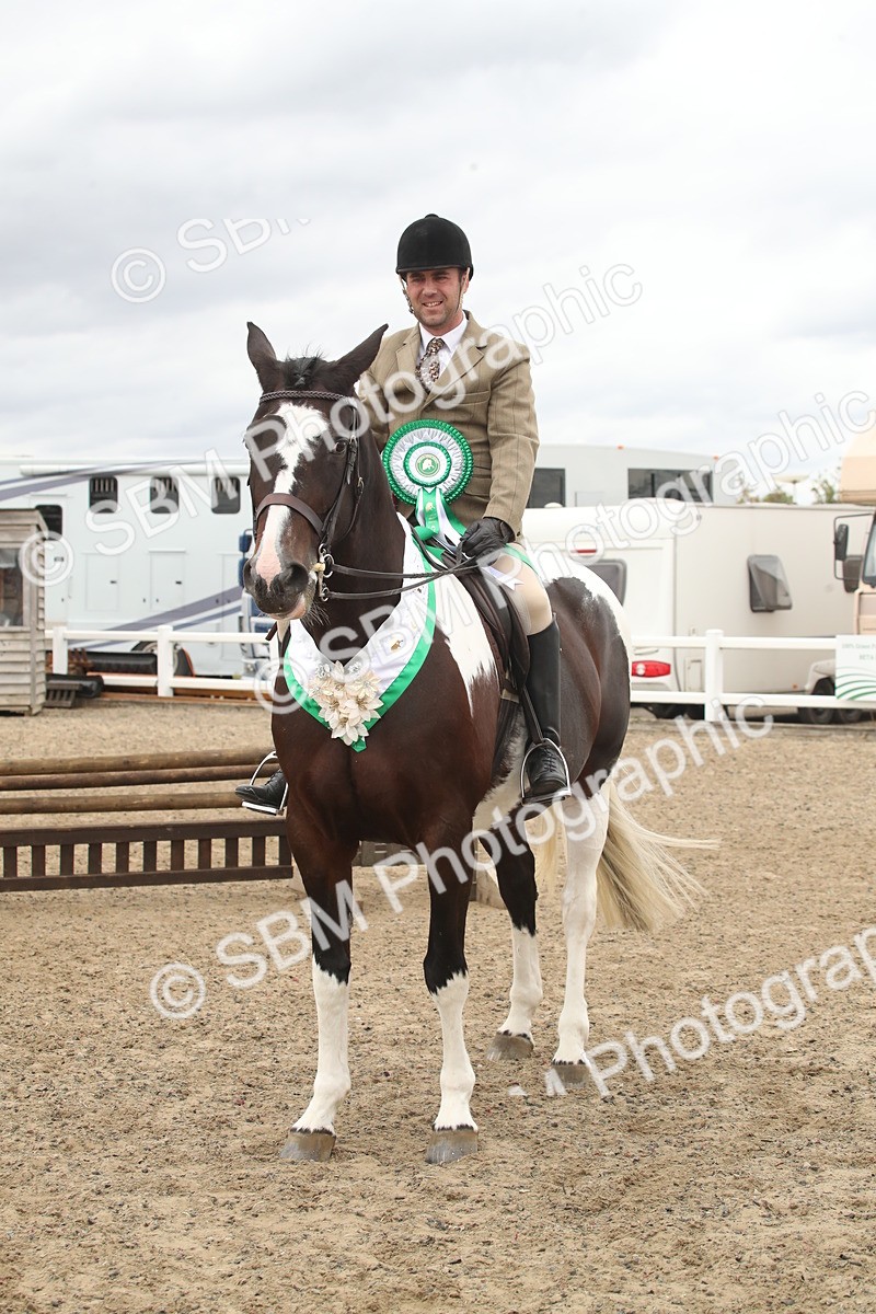 SBM_18329 - Class 509a - Working Veteran - 80cm (15-19)