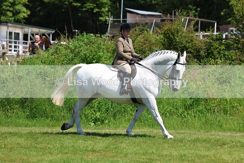 3E7A8295 - Class 13: Ridden Hunter