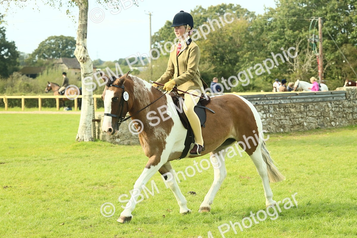 SBM_68108 - S57 - Part Bred Pony Ridden