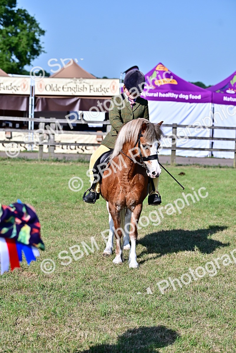 SBM_19850 - Class 103 - 105 - TSR Ridden Amateur of the Year Plaited Ponies