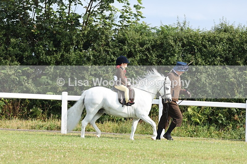 JPP_0491 - Class 14: Cornish Combination Leading Rein