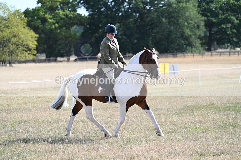 WJ7_2826 - Class 8 Ridden Tack & Turnout
