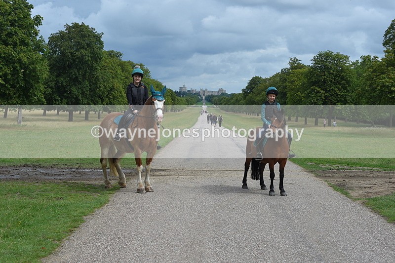 TT3_9163 - Time at Crossing 09:22 to 11:26