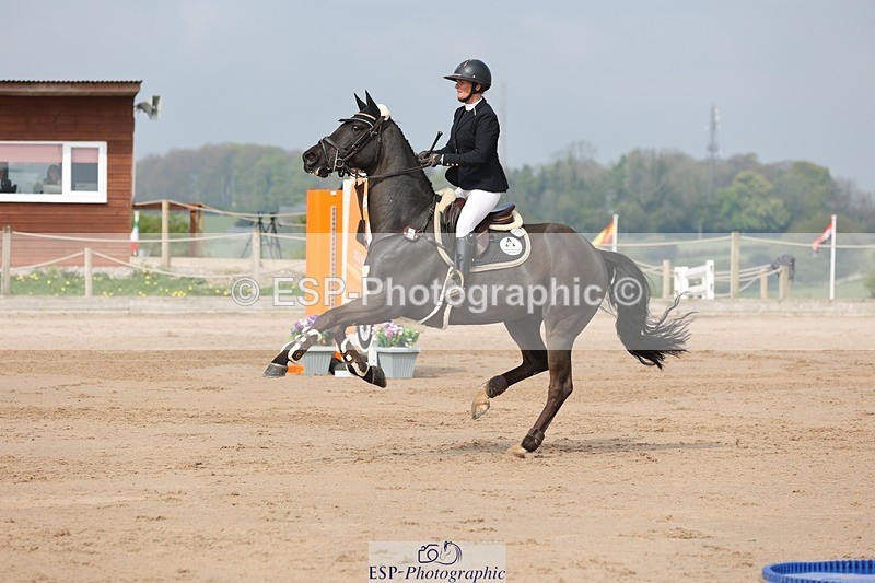 250424-104434-03198 - Cls 33 Young Horse 7yr old