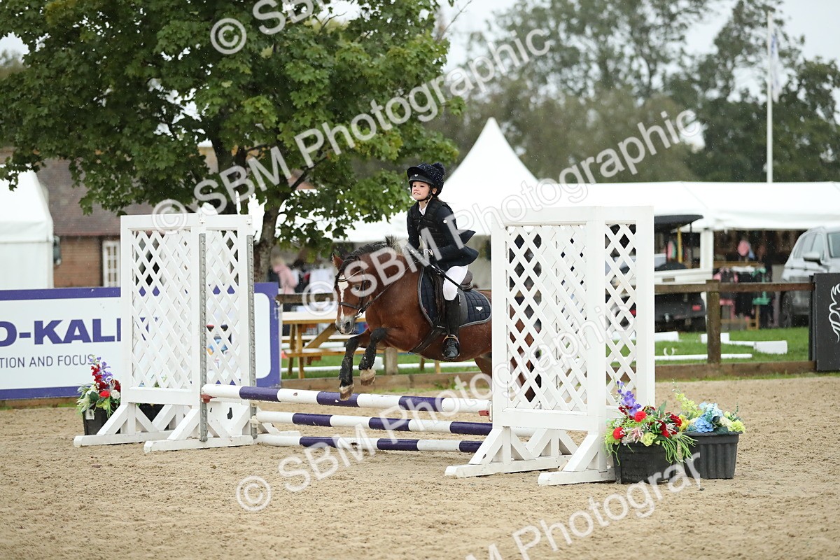 SBM_34323 - J60 Clear Round 50cm