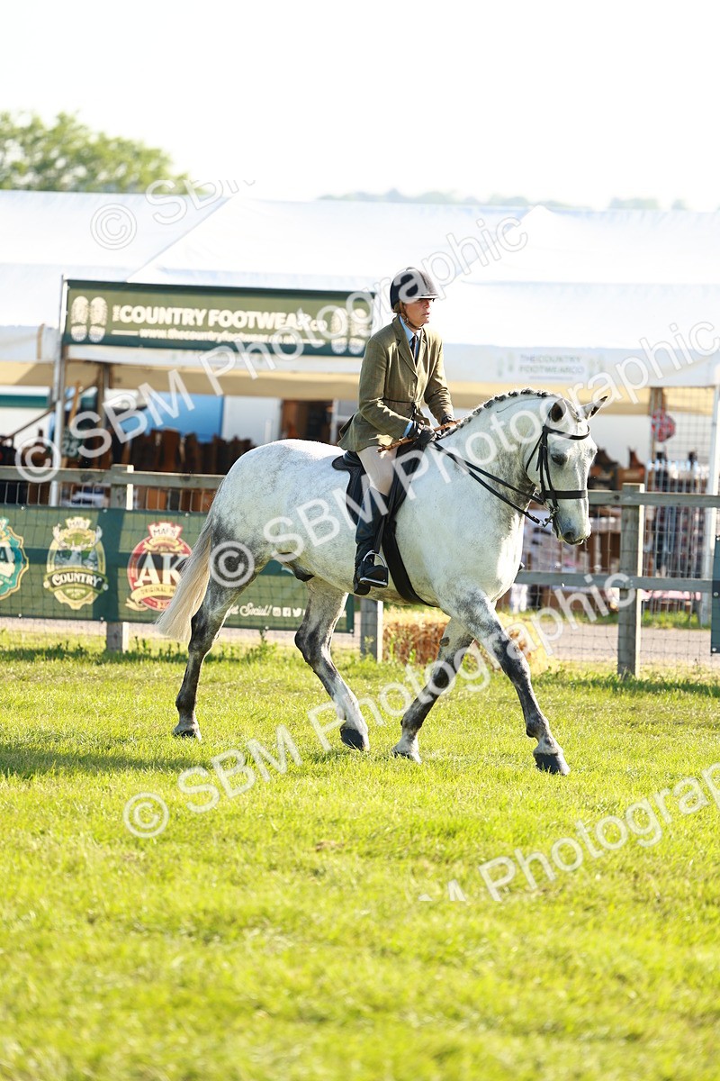 SBM_10751 - Class 66-69 - RIHS Ridden Hunters Inc Small Hunter
